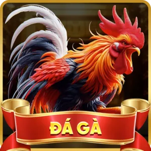 Tỷ lệ hoàn trả hấp dẫn